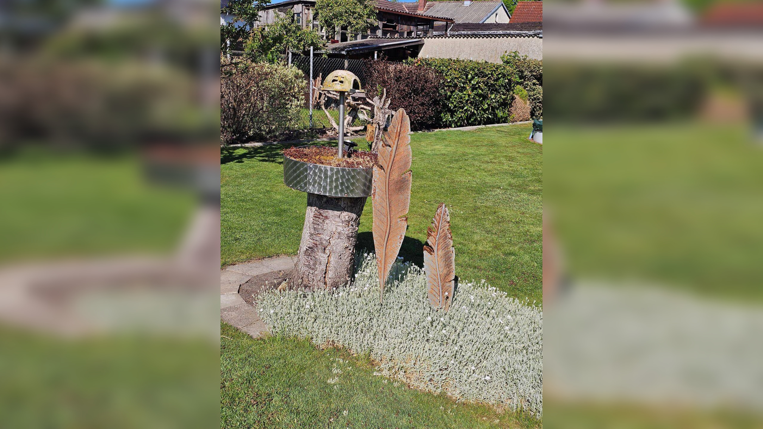 Bild 5