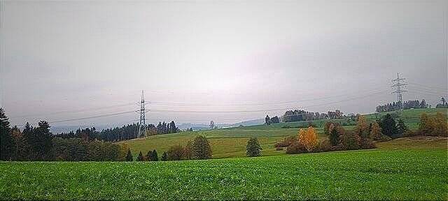 image-65828174