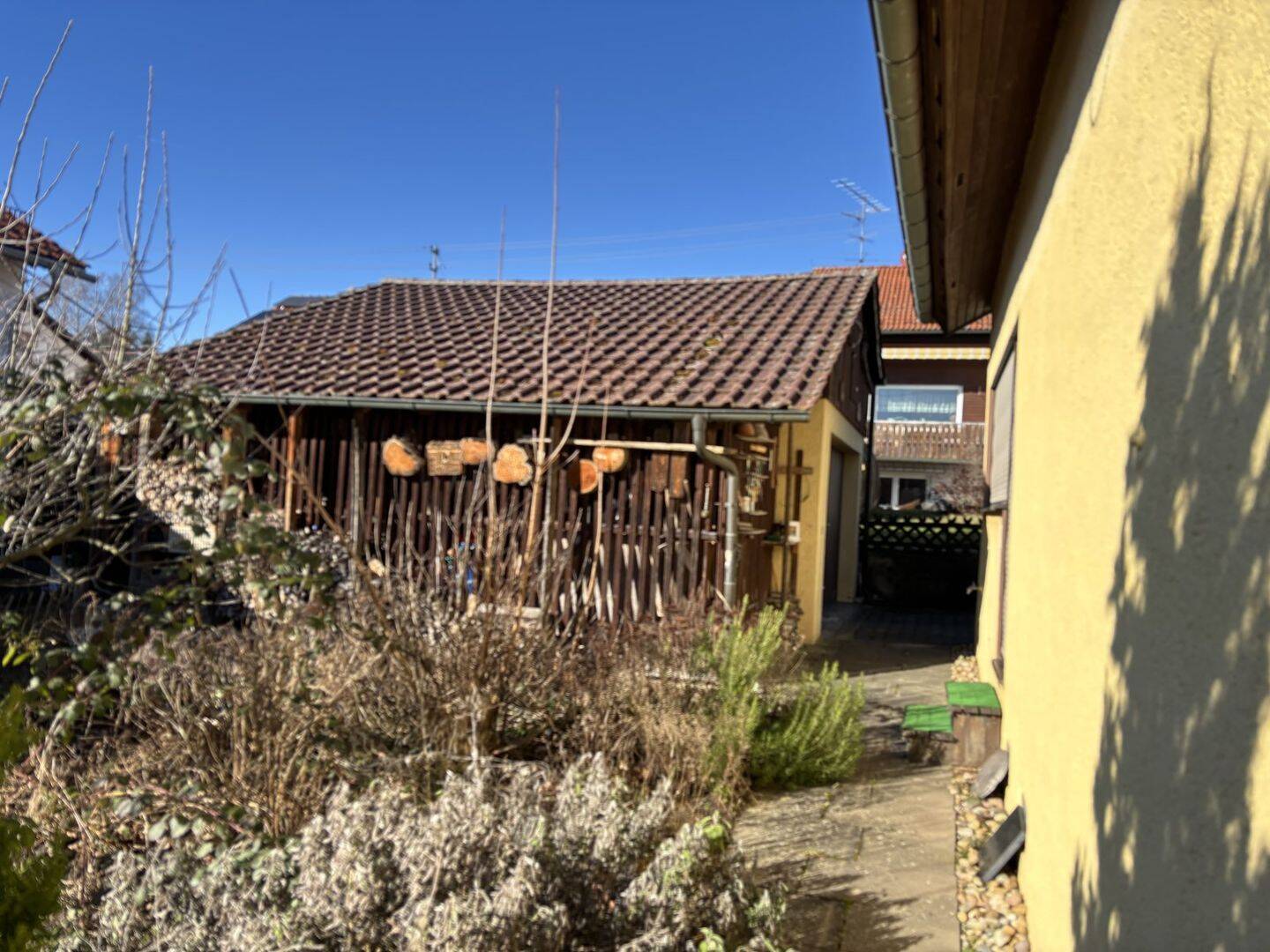 image-65828177