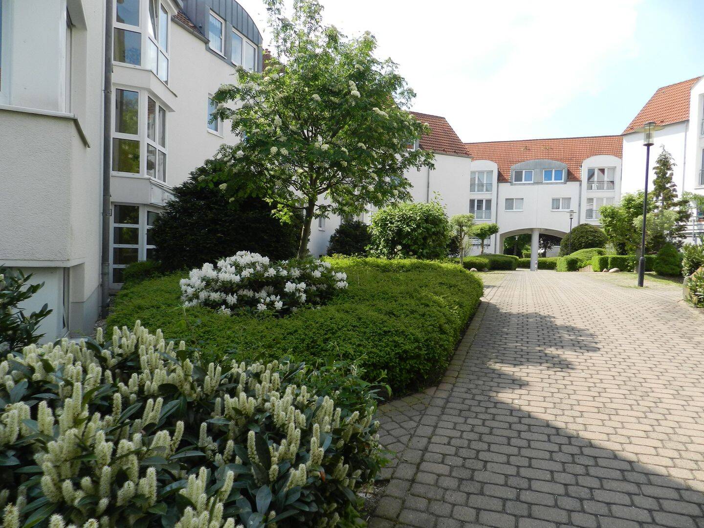 Bild 8
