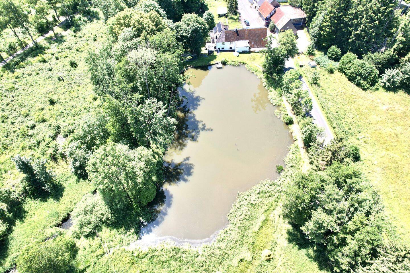 Bild 7