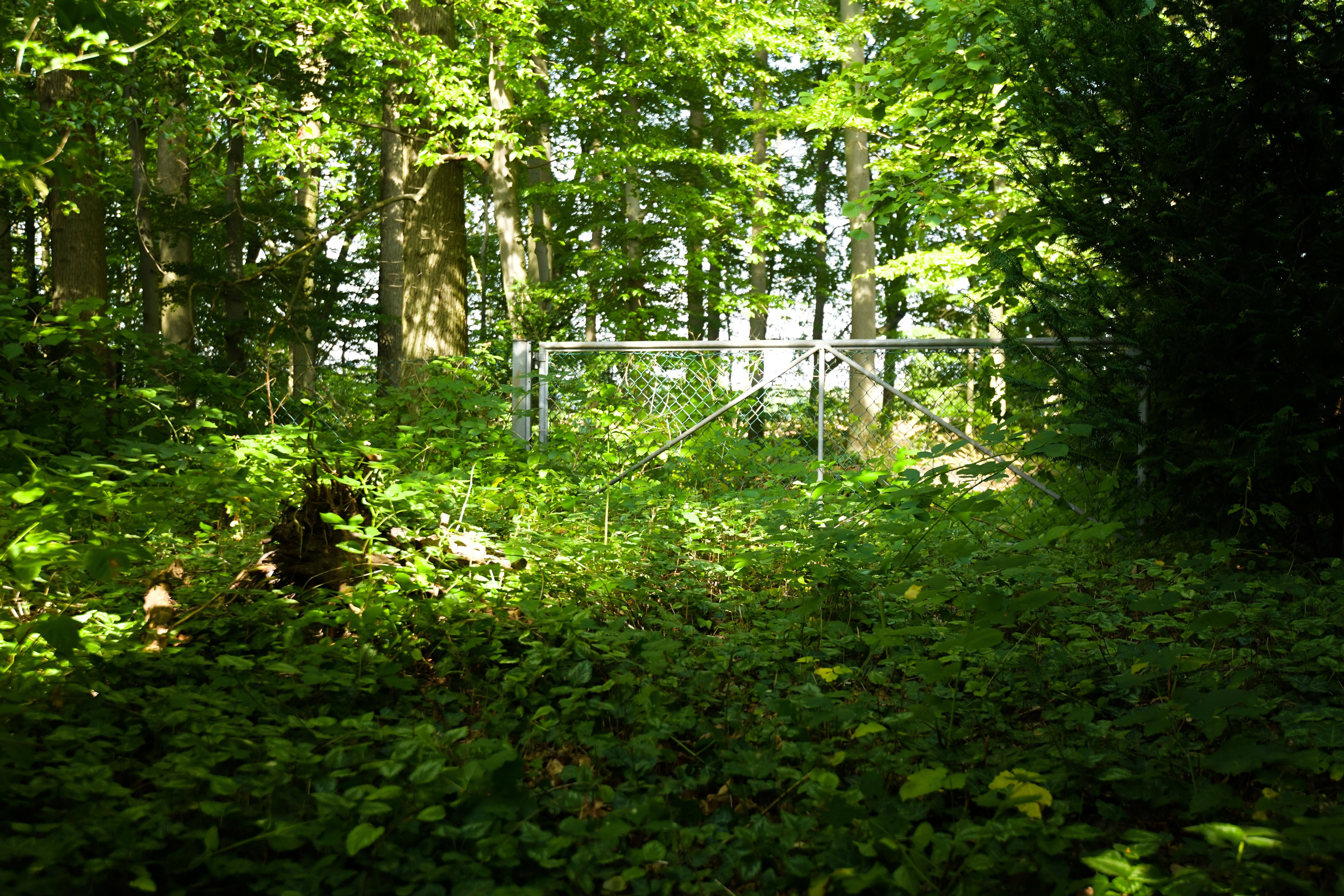 Bild 9