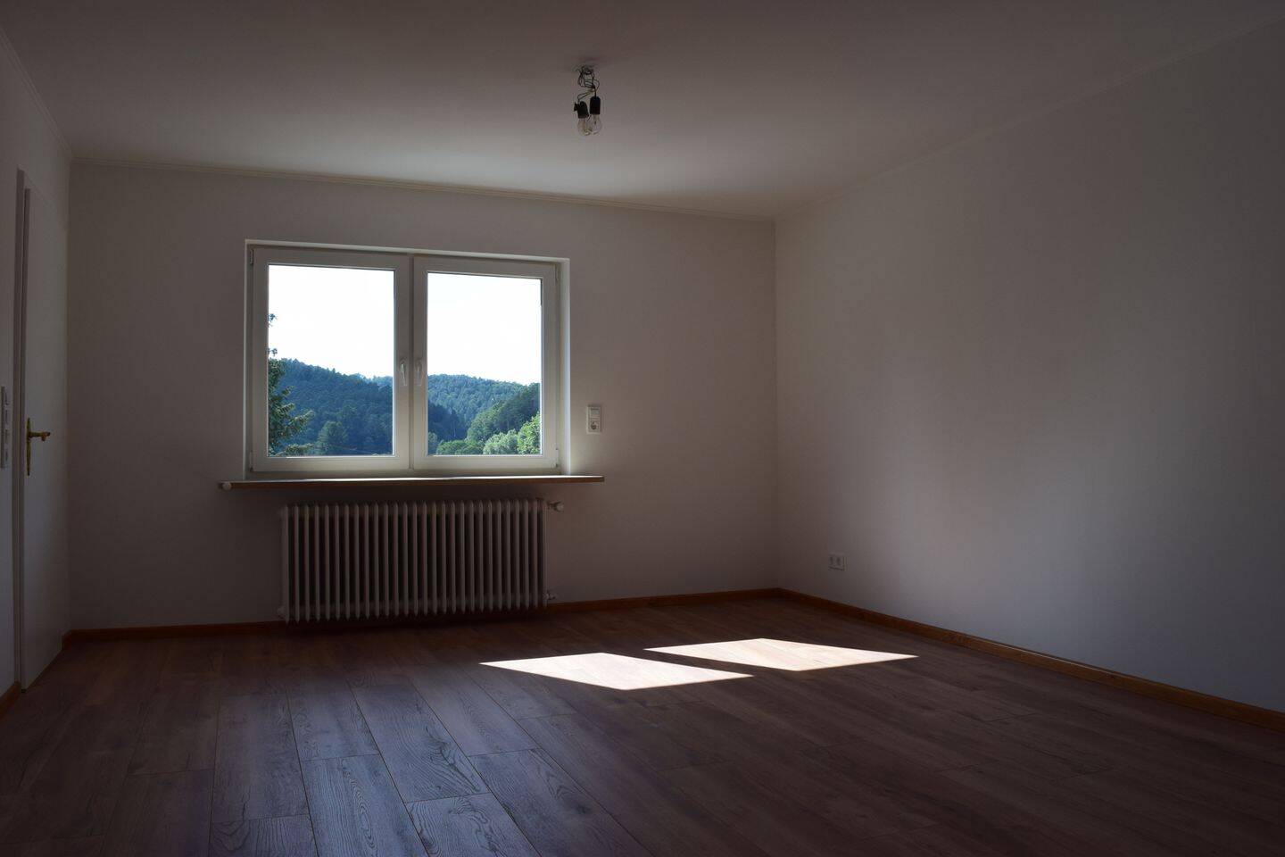 image-65869694
