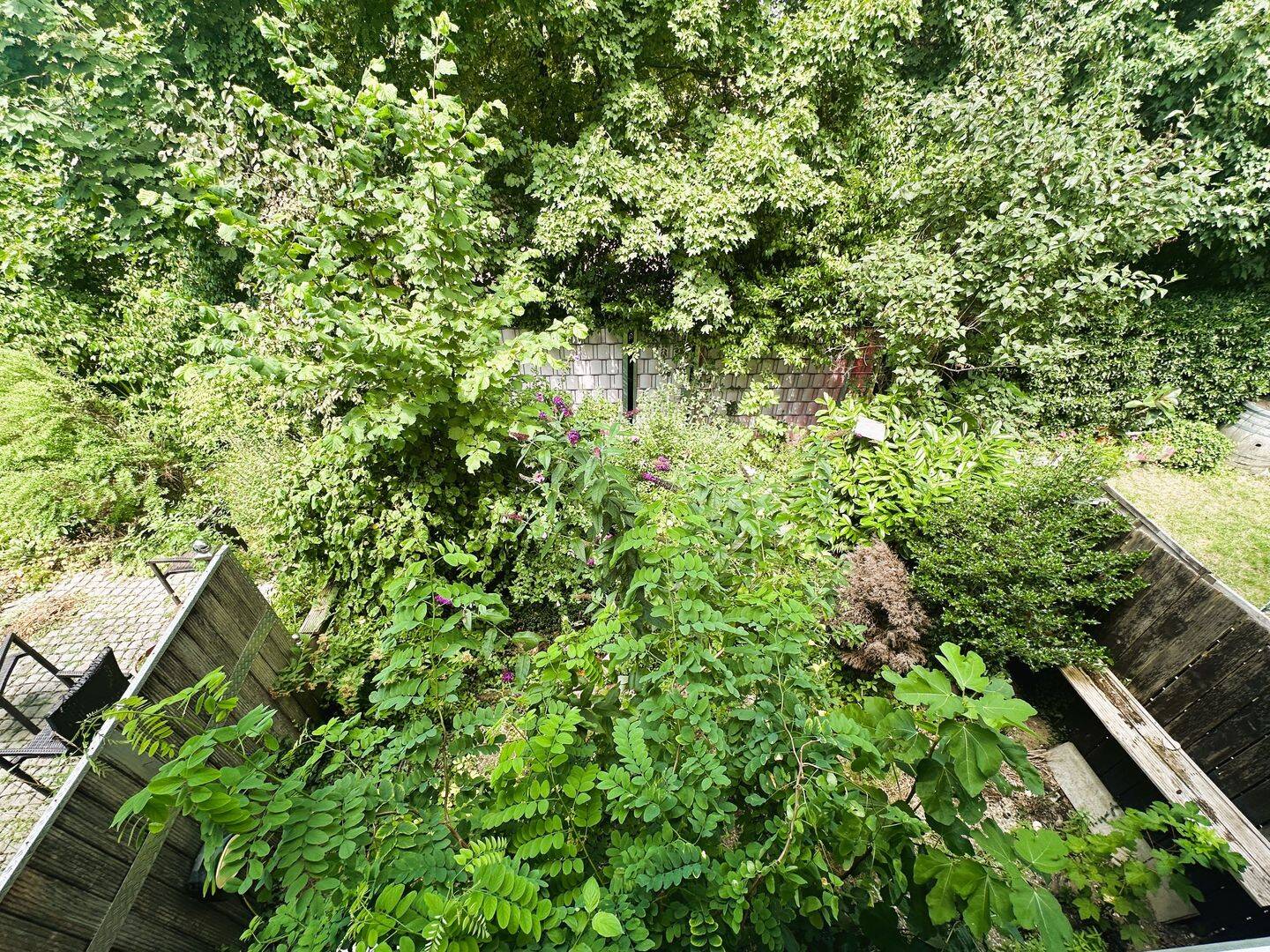 image-65870505