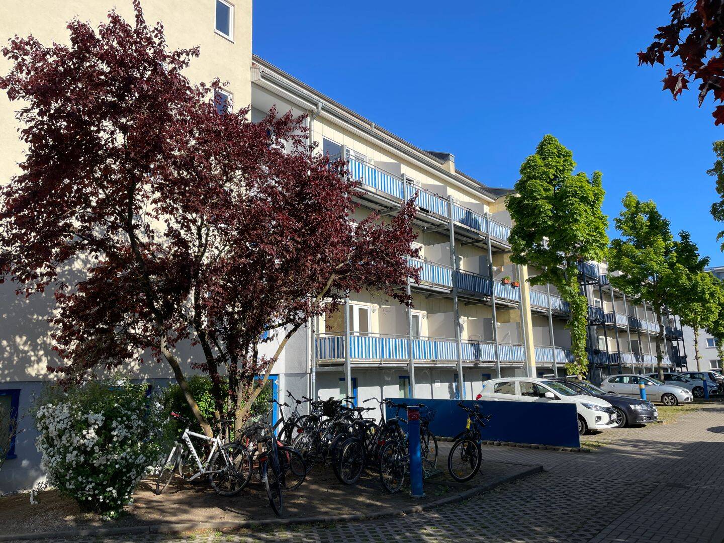Bild 3