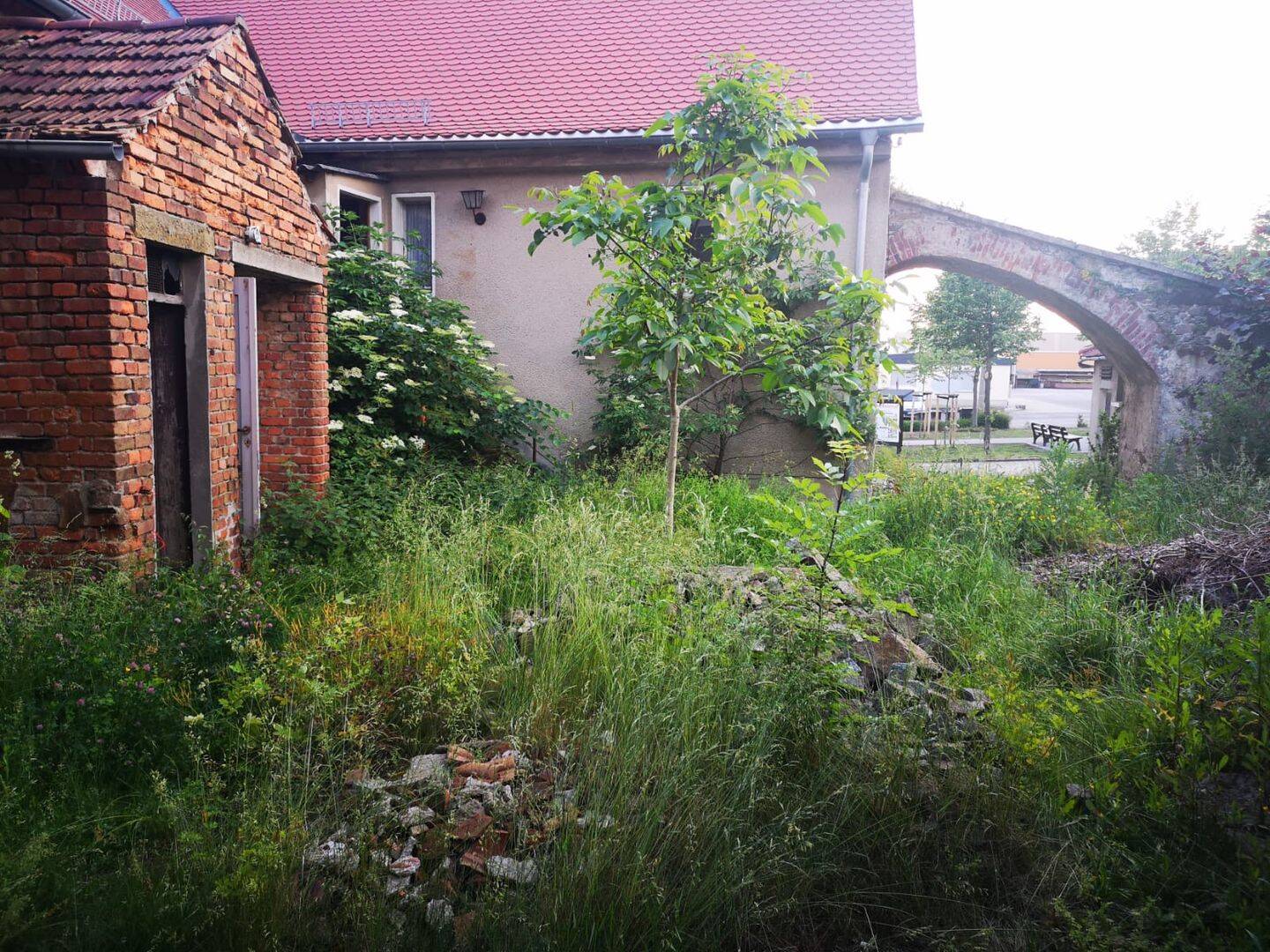 Bild 4