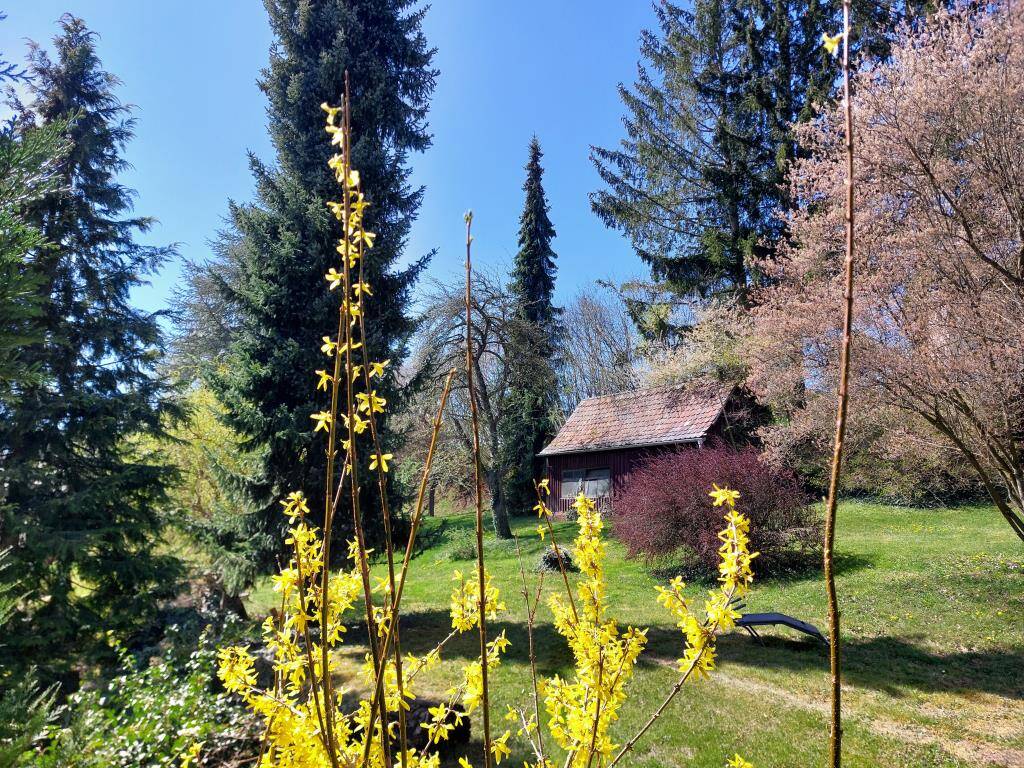 Bild 6