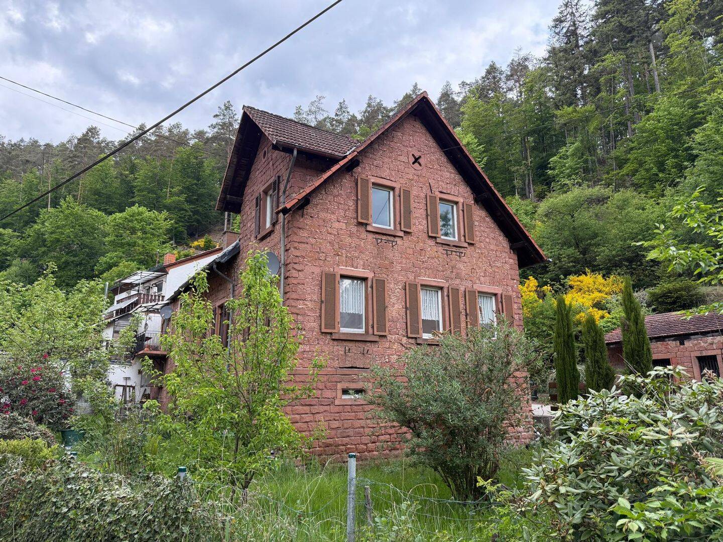 image-65907159