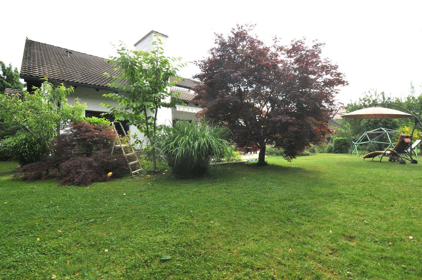 image-64040246