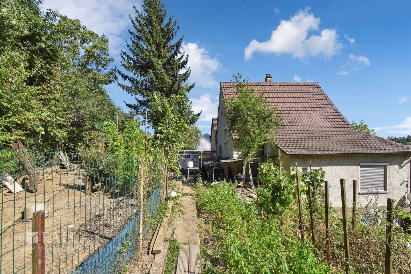 Bild 8