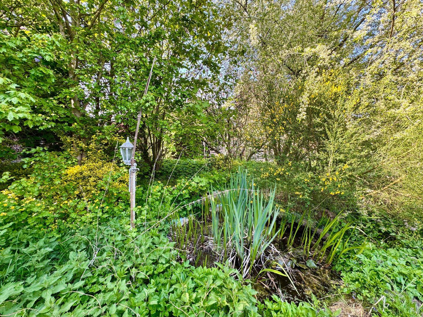 Bild 10