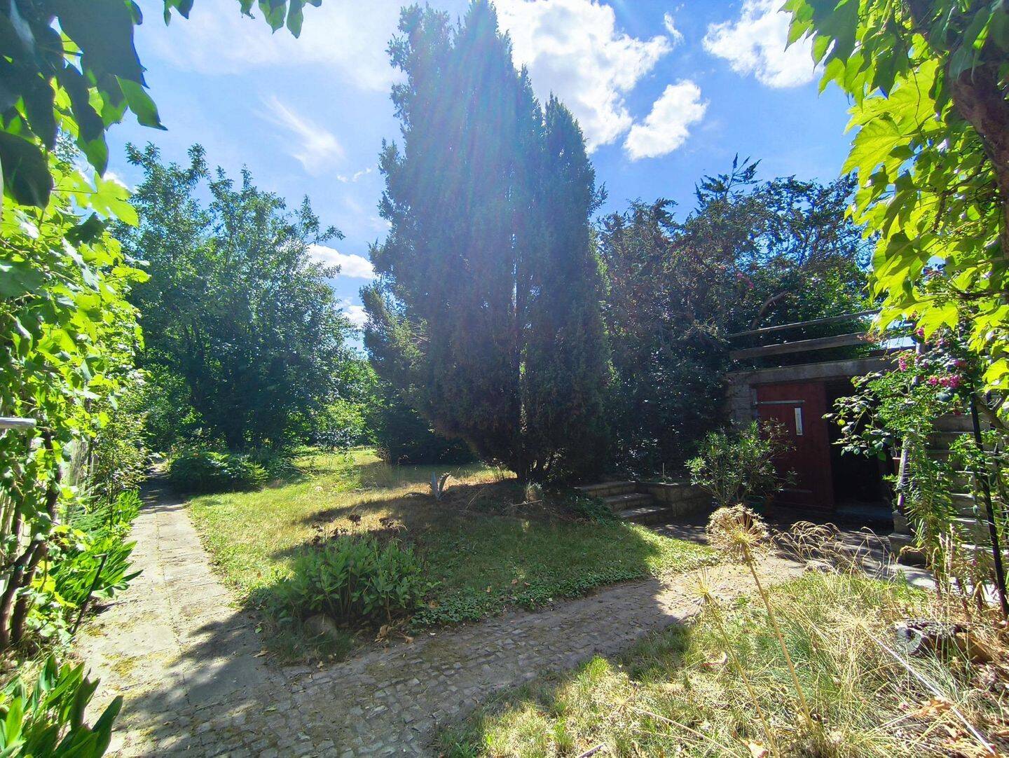 Bild 7