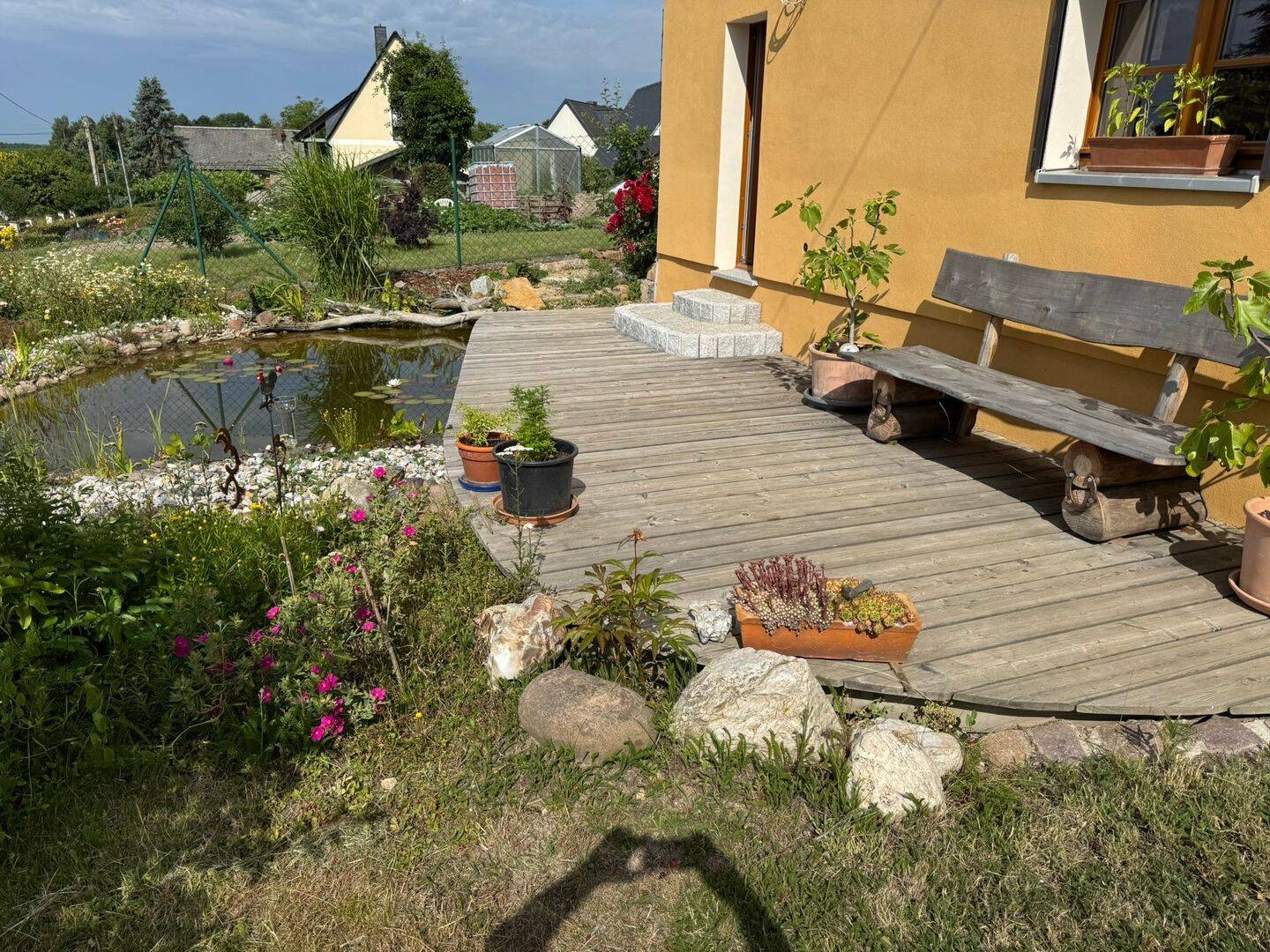 image-65989459