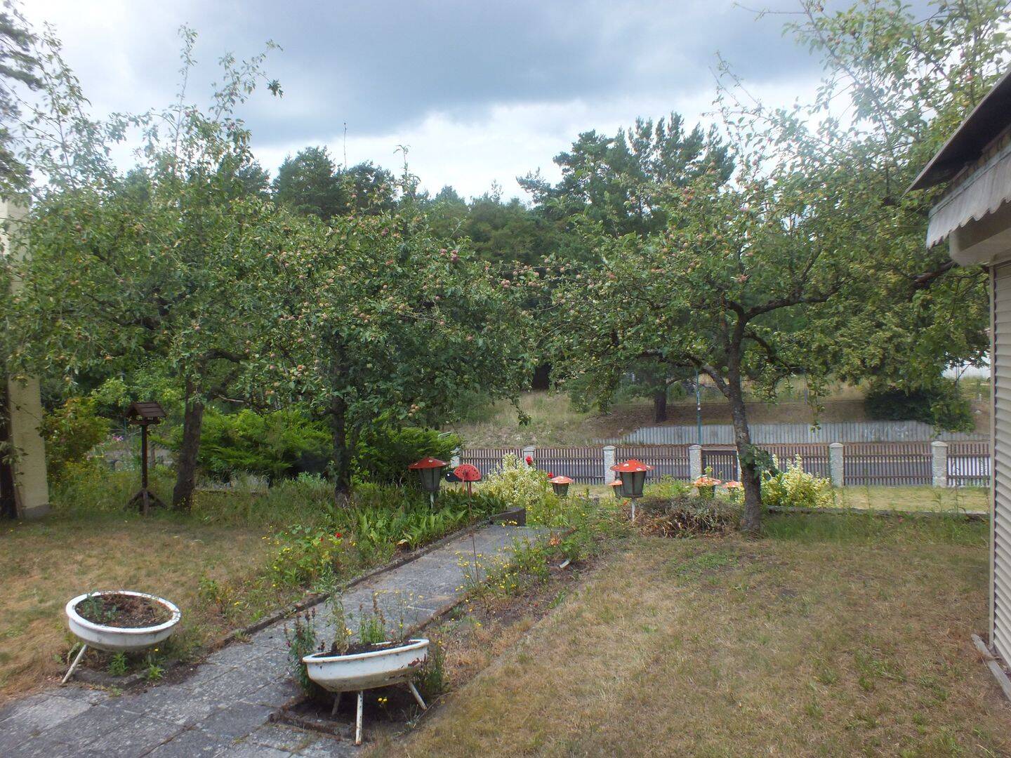 Bild 5