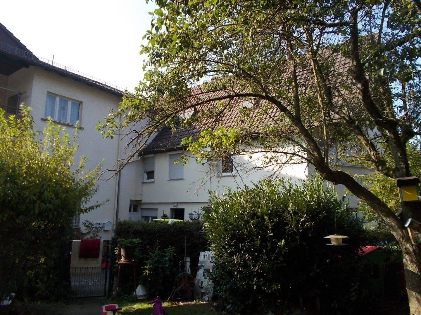 Bild 8