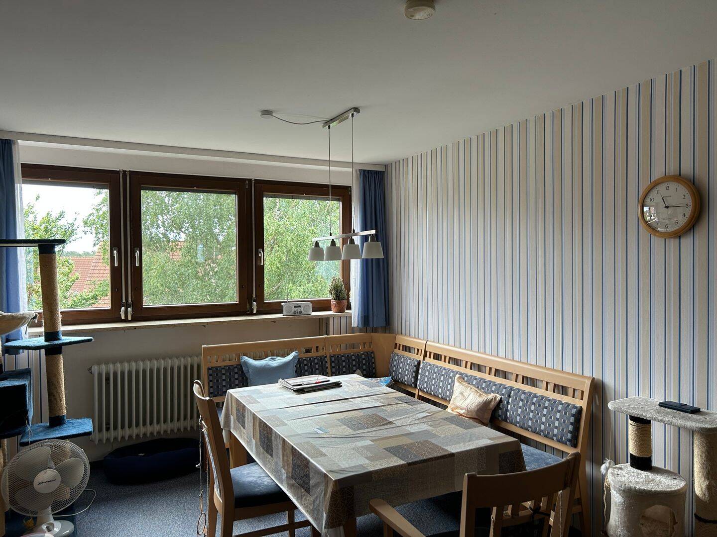 Bild 8