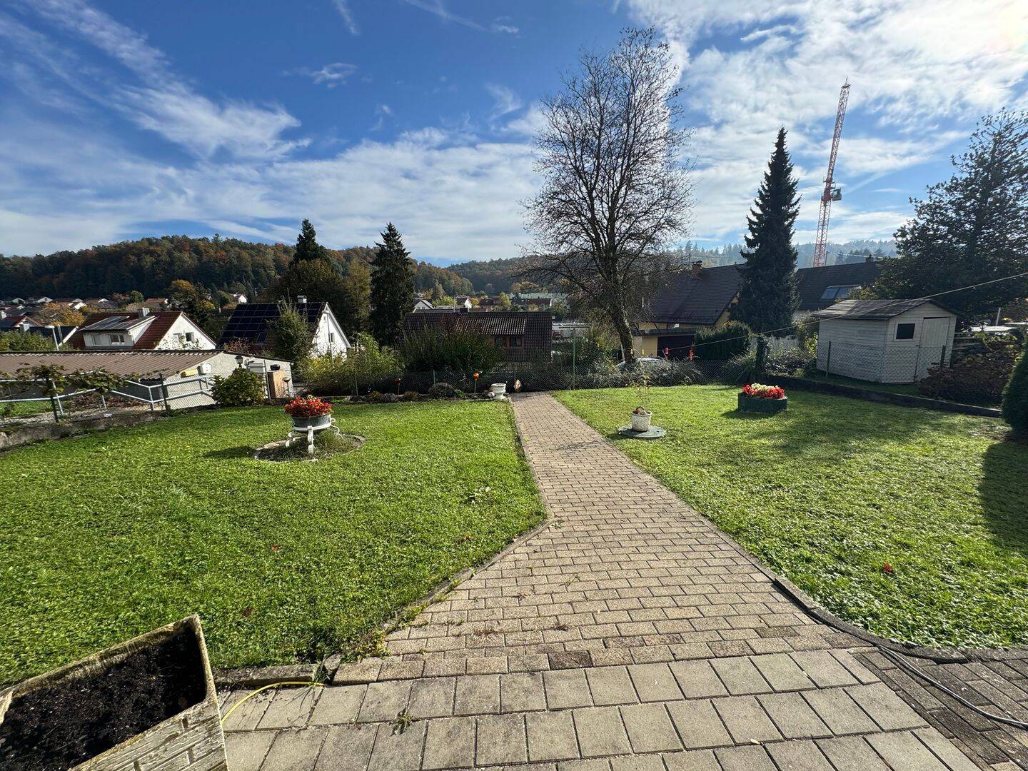 image-64066625