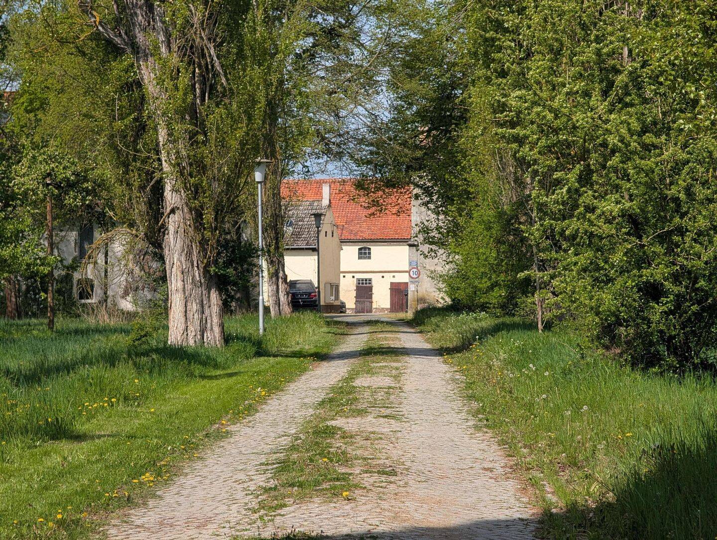 image-66018391