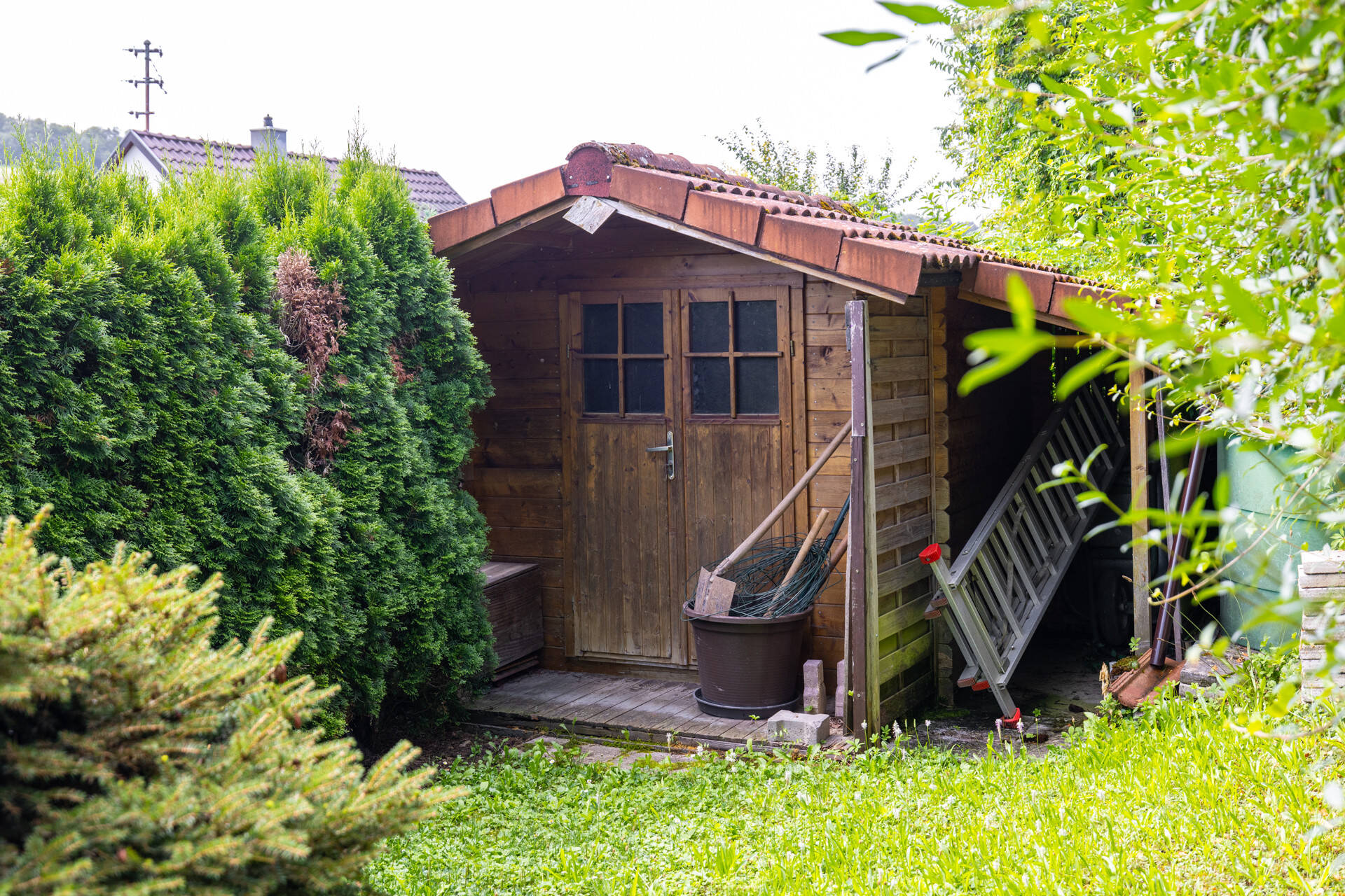 Bild 6