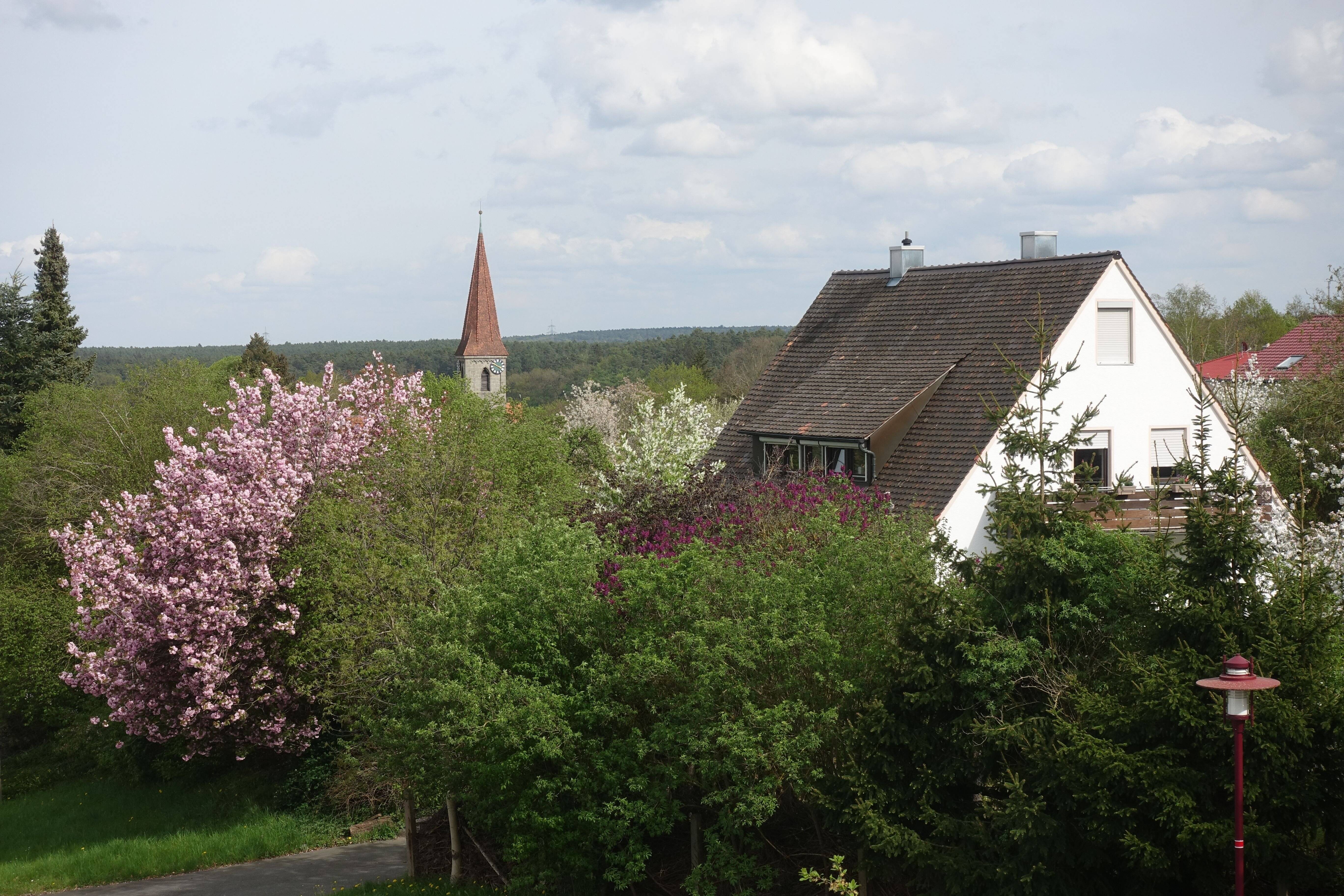 Bild 9