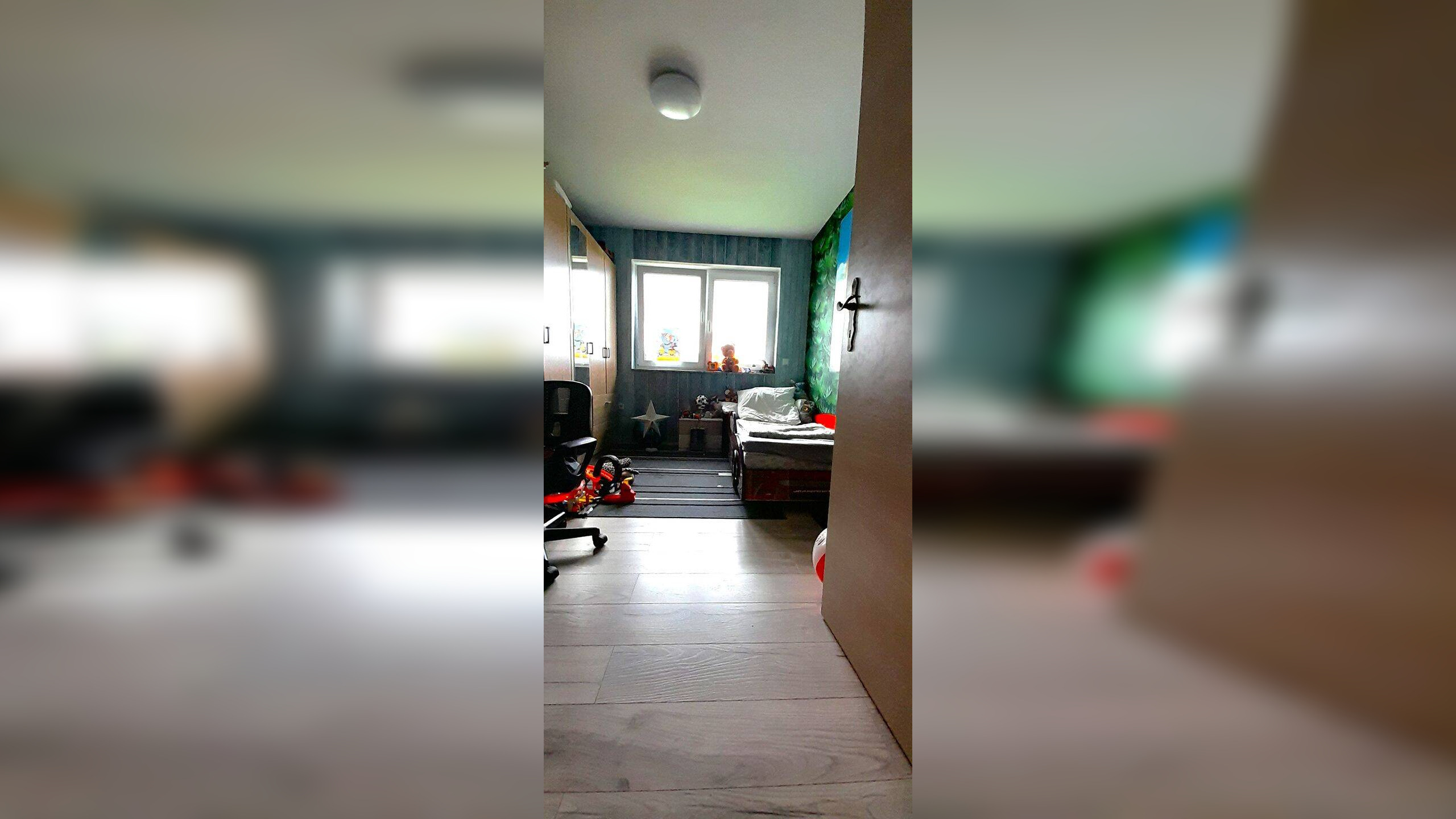 Bild 5