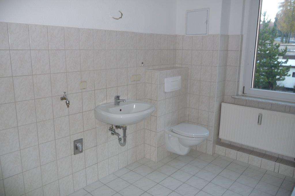 image-66031348