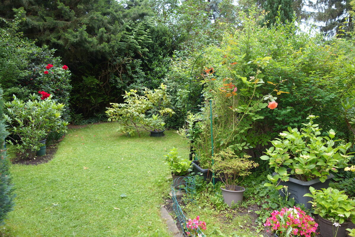 Bild 8