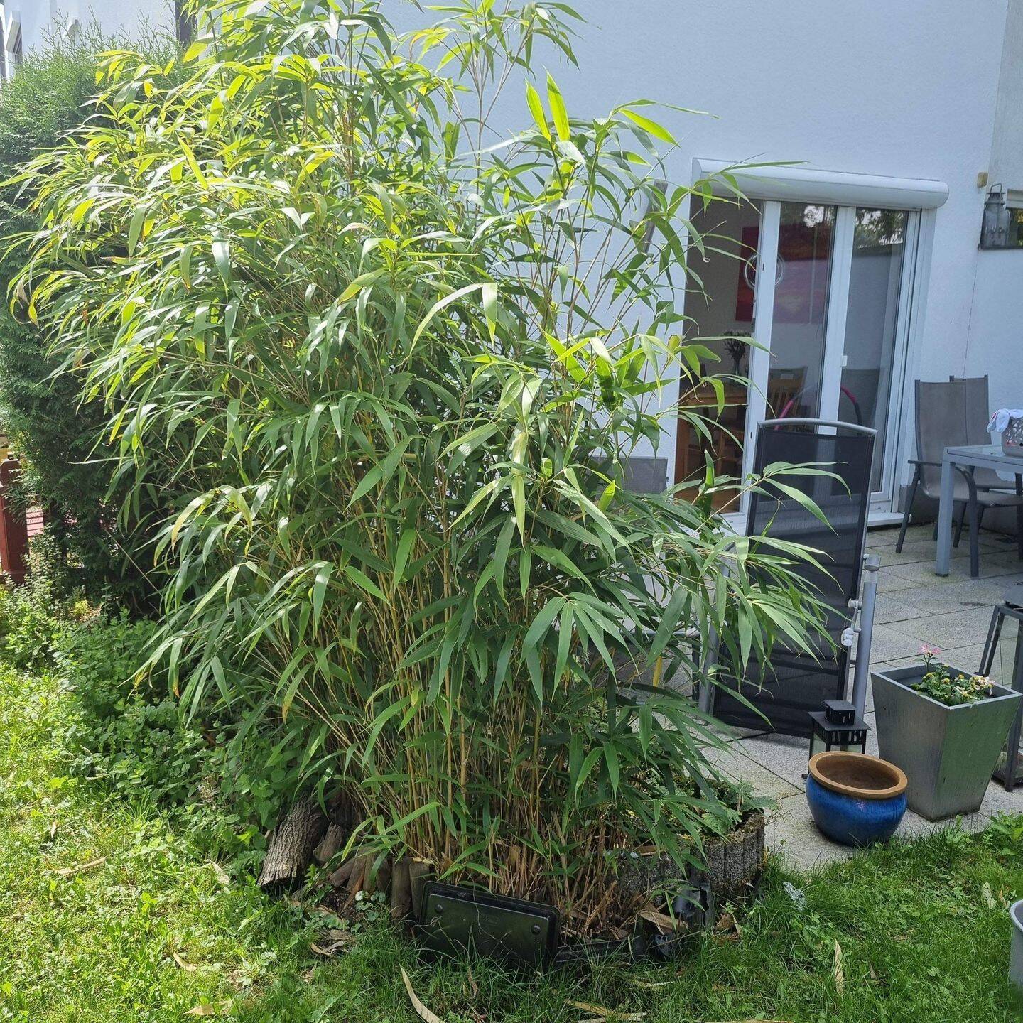 Bild 4
