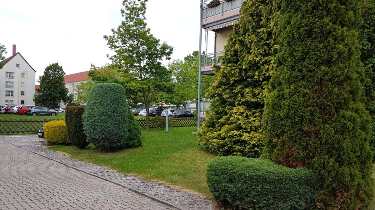 Bild 3