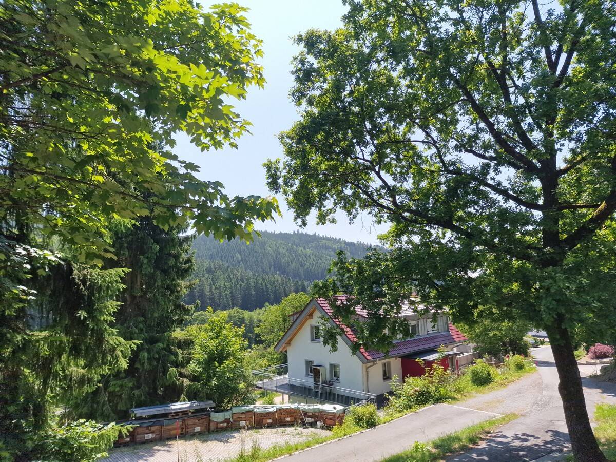 Bild 3
