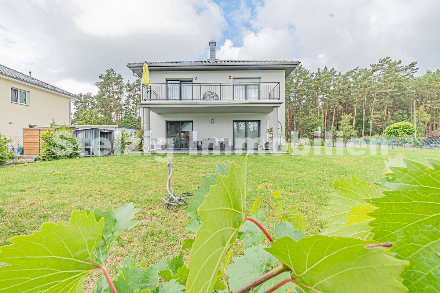 Bild 5