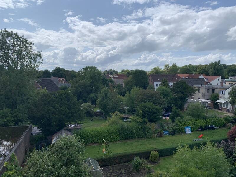 image-66062037