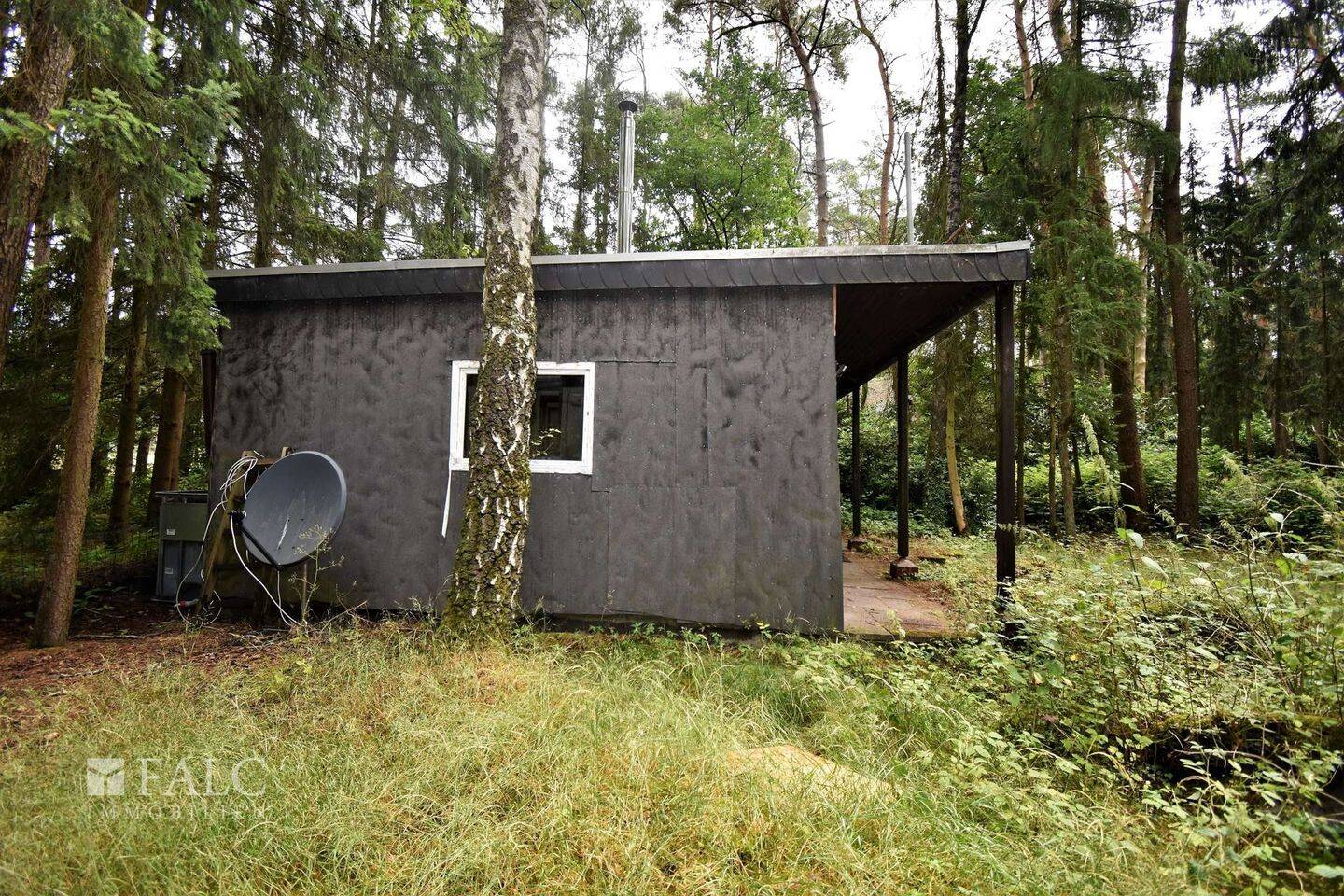 Bild 6
