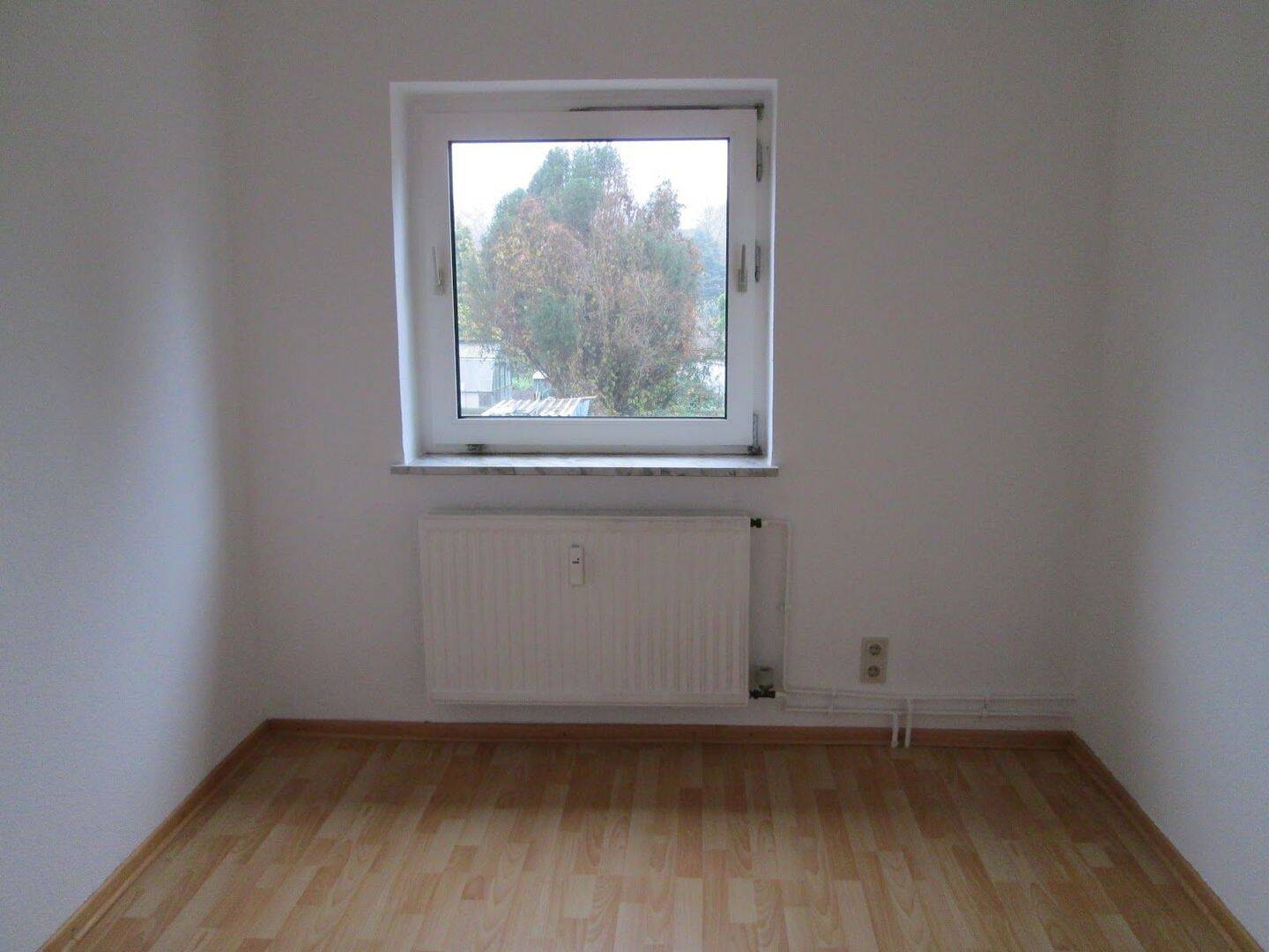 image-66073234