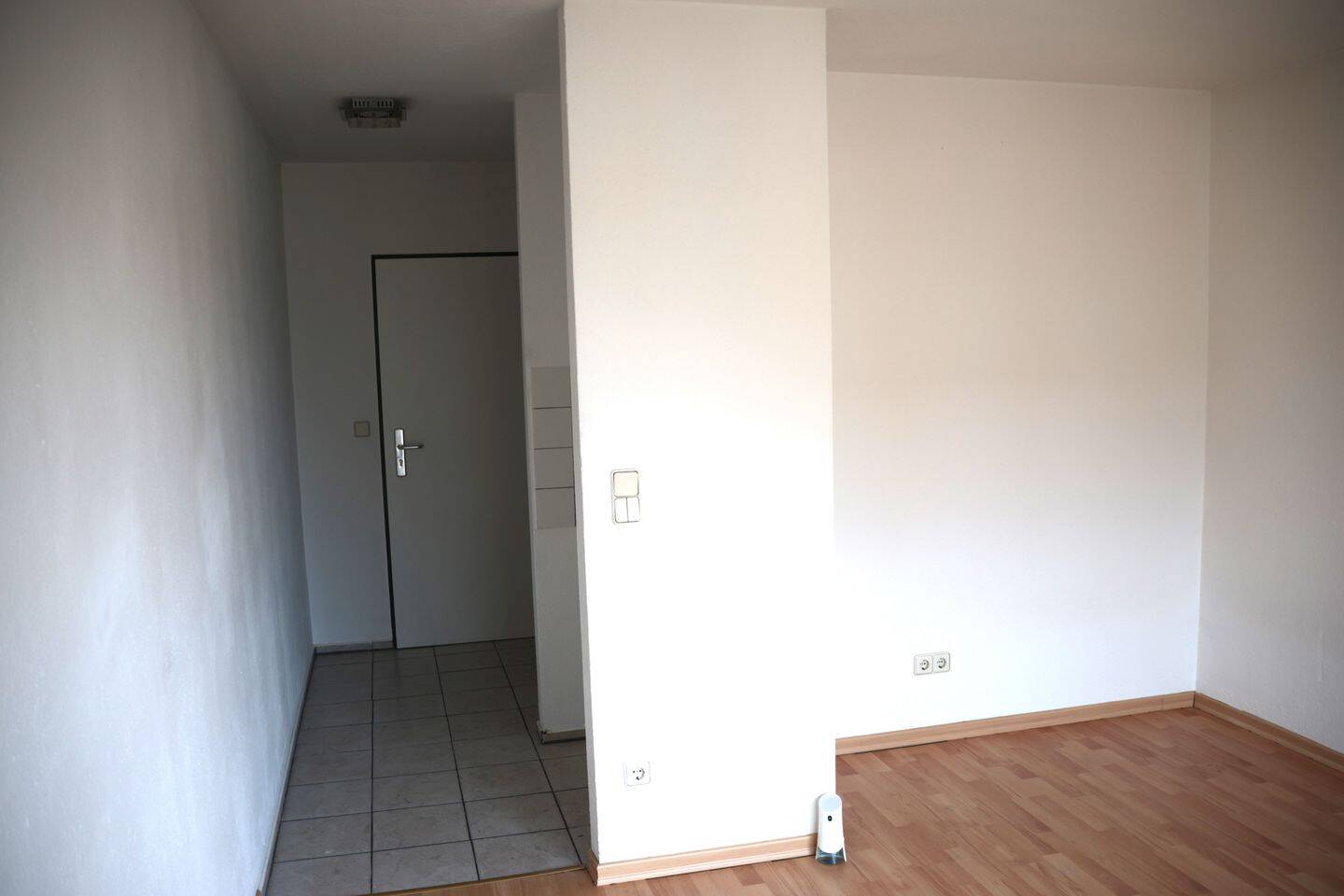 image-66076973