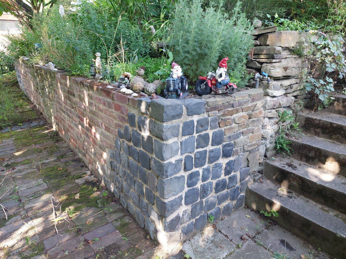 Bild 5