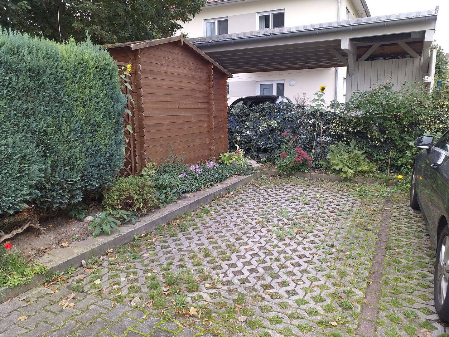 Bild 6
