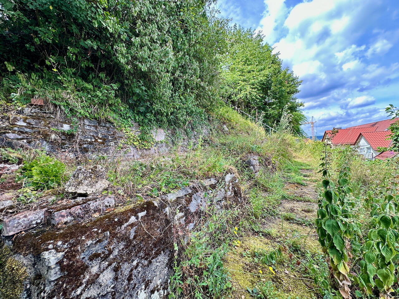 Bild 8