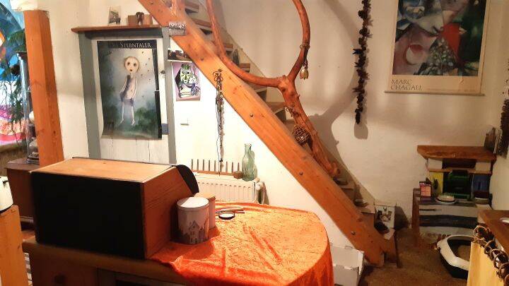 Bild 5