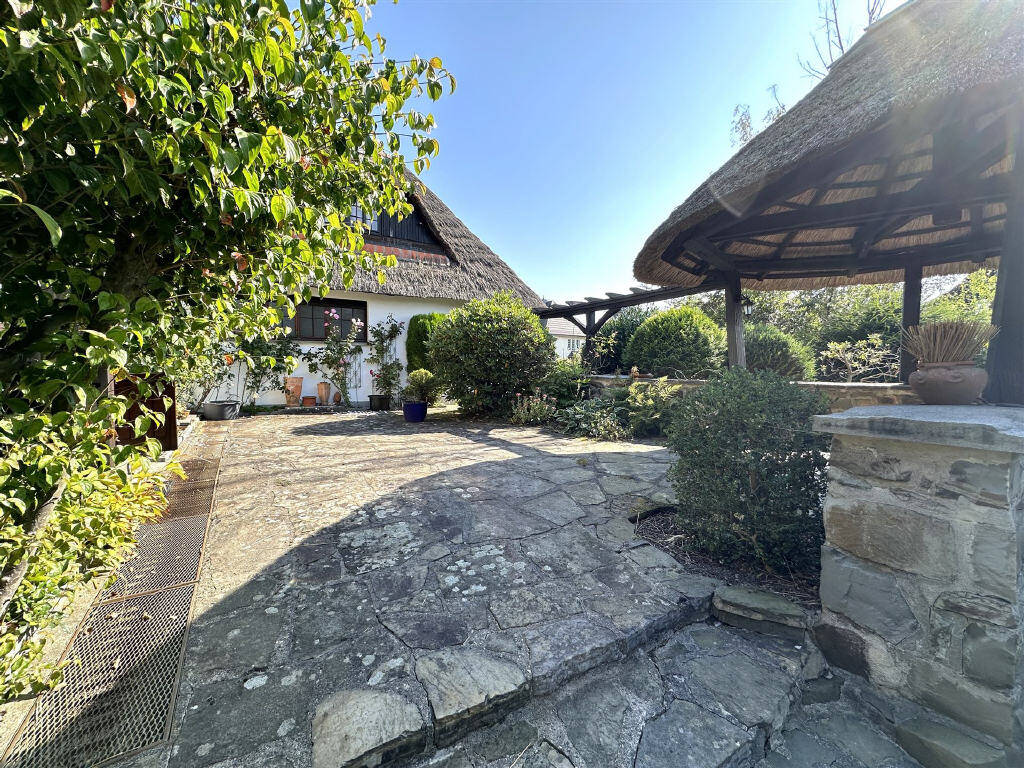 image-66154704