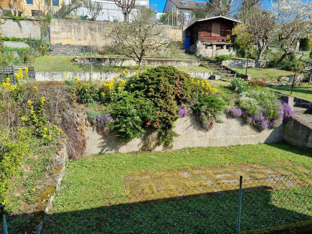 Bild 5