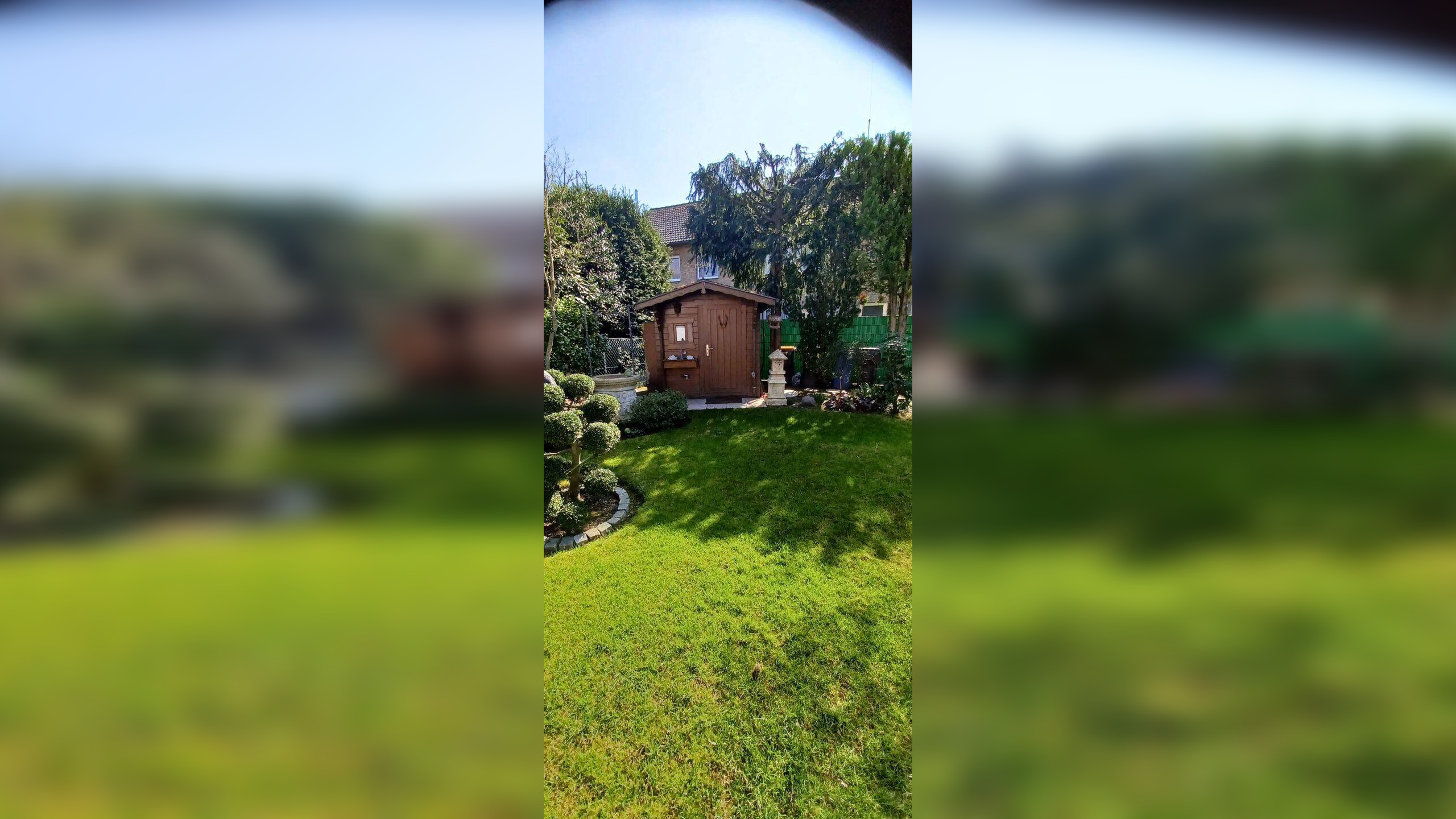 image-66162320