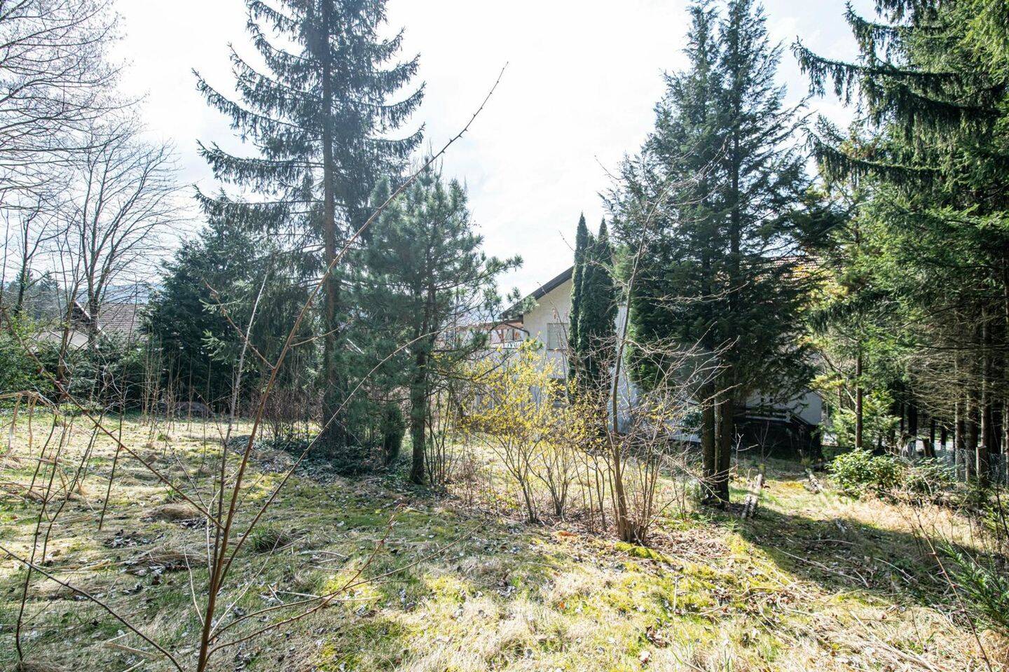 Bild 9