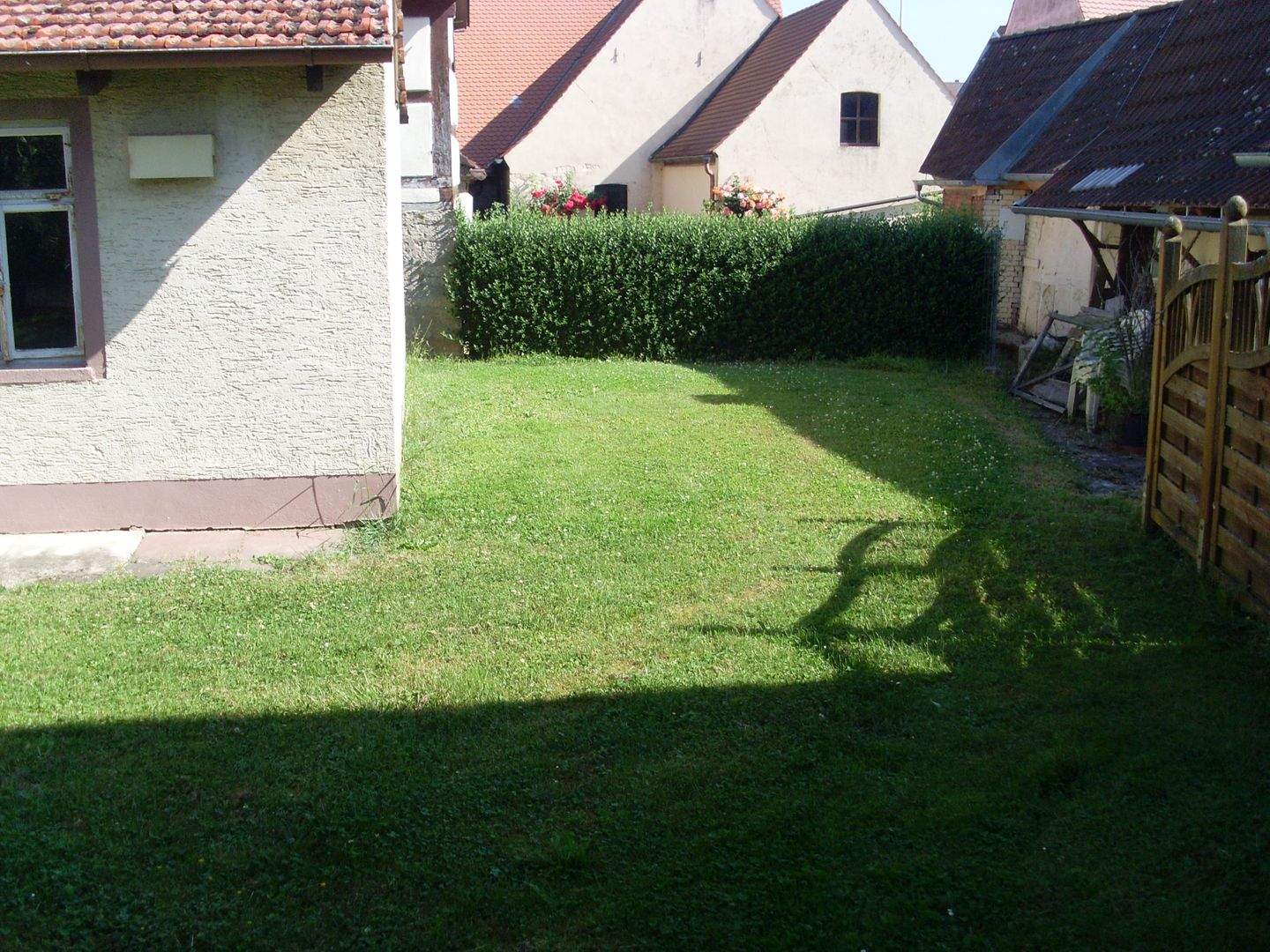 Bild 7