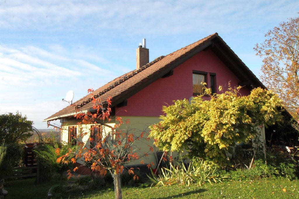 image-66176558