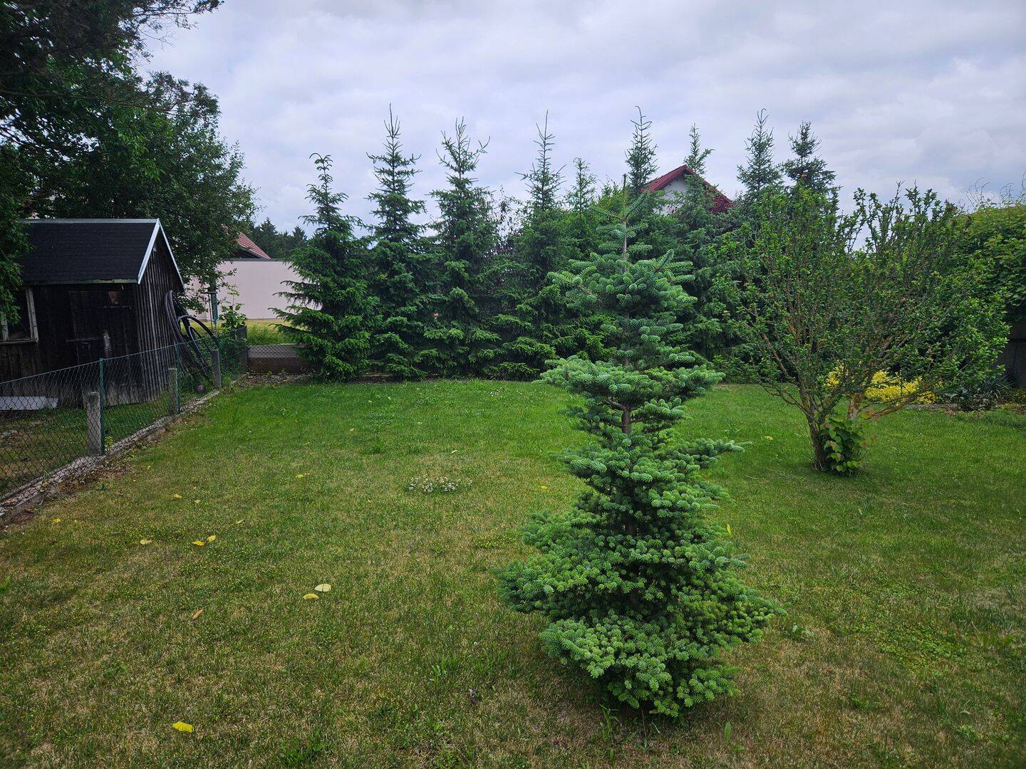 image-66192512