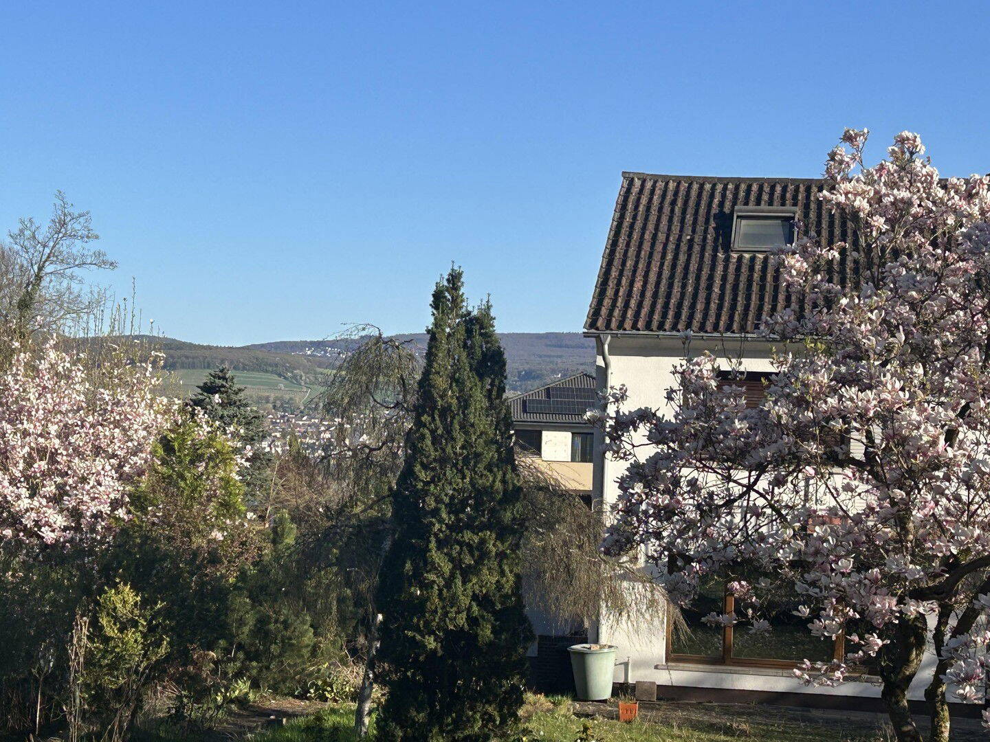 image-66198166