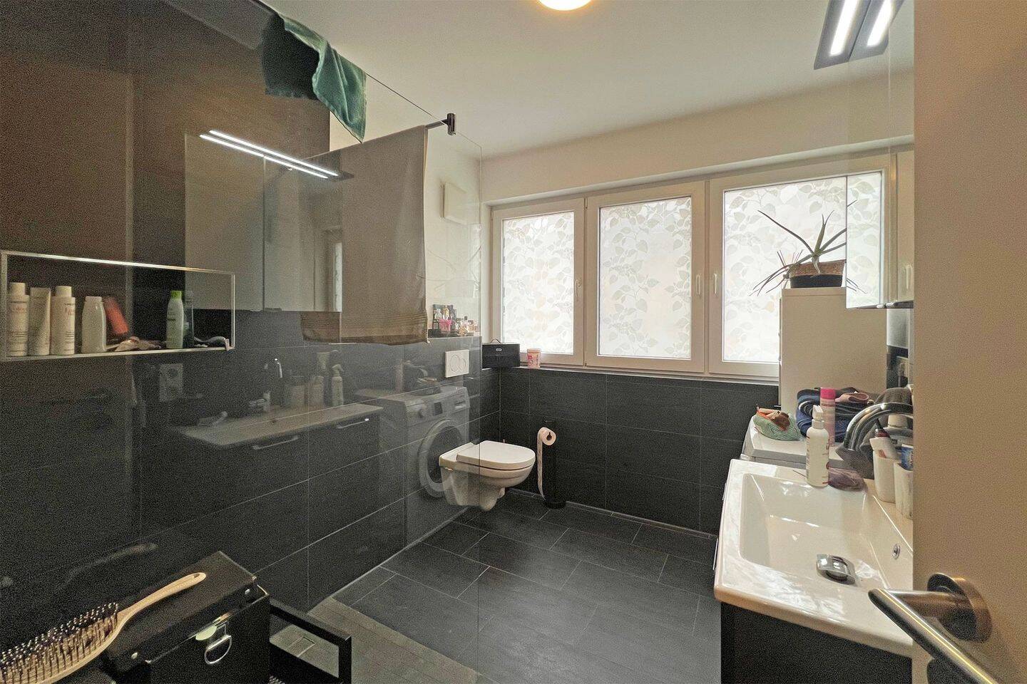 Bild 8