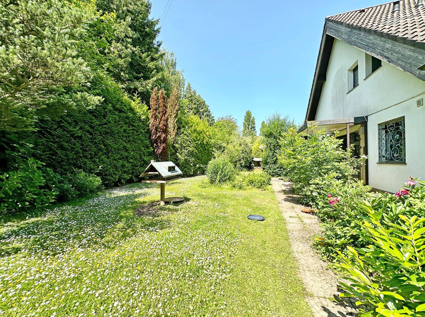 image-66216257