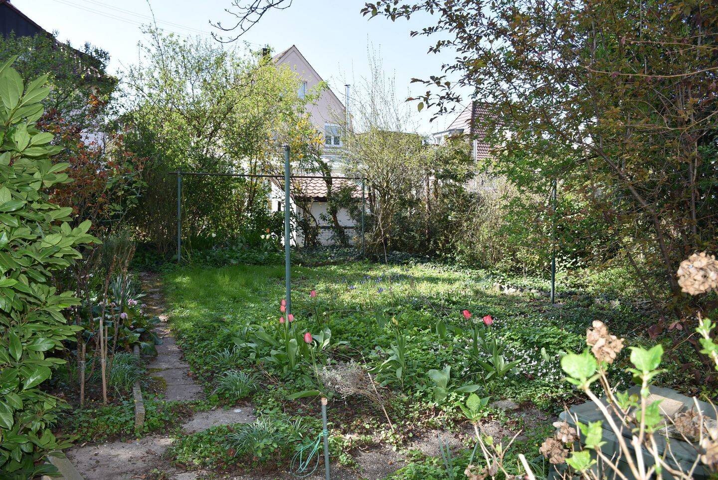 Bild 7